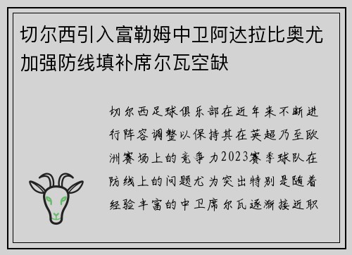 切尔西引入富勒姆中卫阿达拉比奥尤加强防线填补席尔瓦空缺 切尔西引入富勒姆中卫阿达拉比奥尤加强防线填补席尔瓦空缺